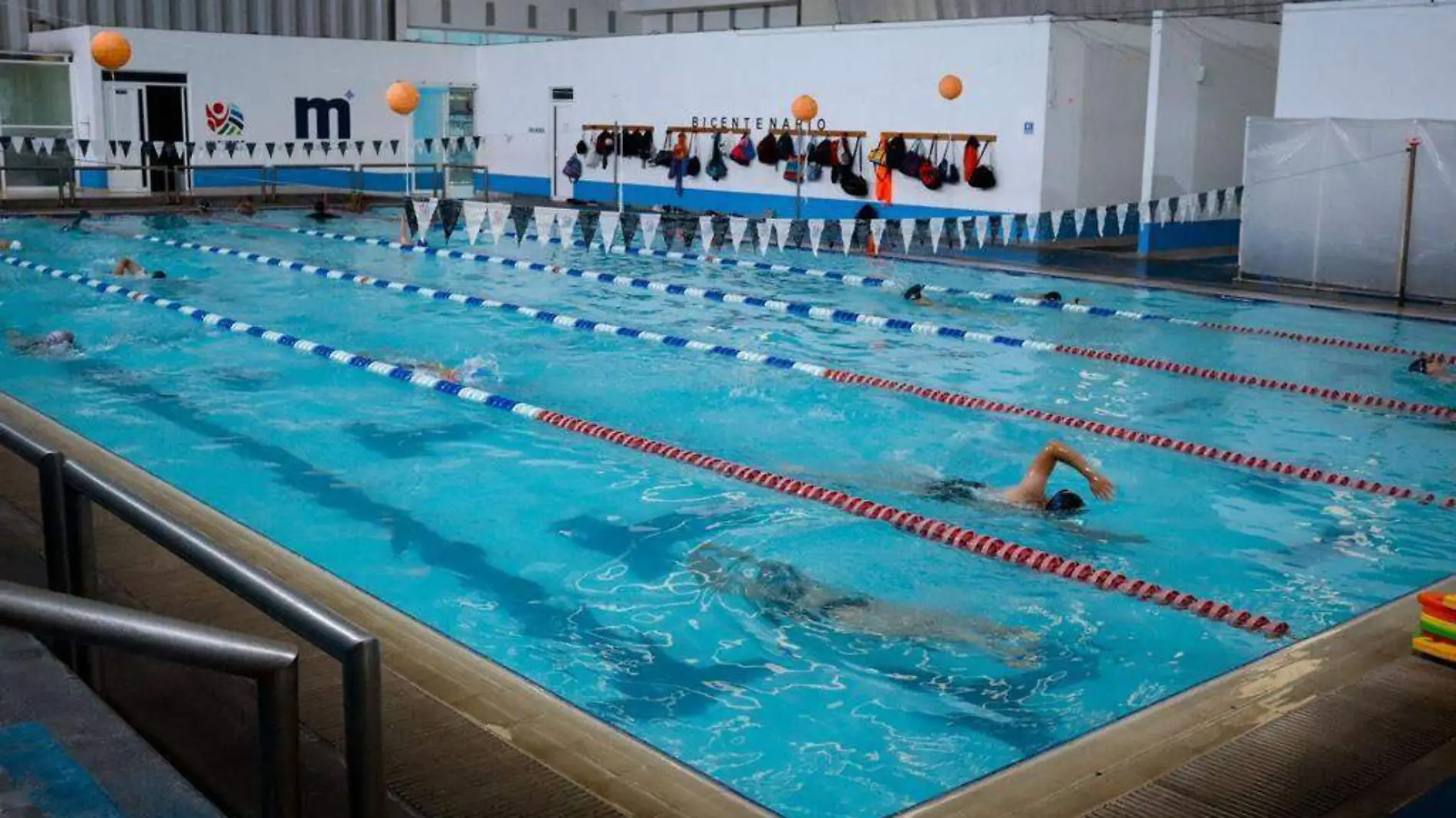 Curso de natación - Bicentenario